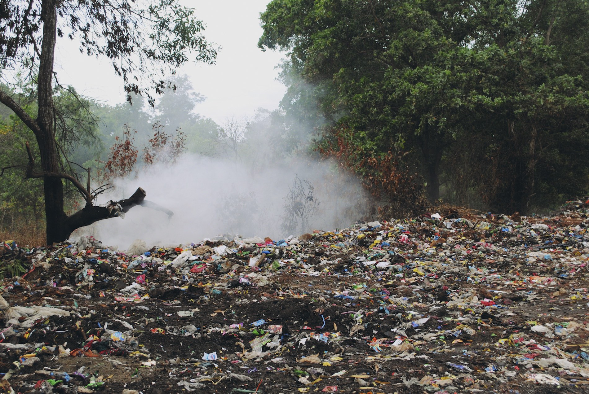 A TSUNAMI OF TRASH BAGS