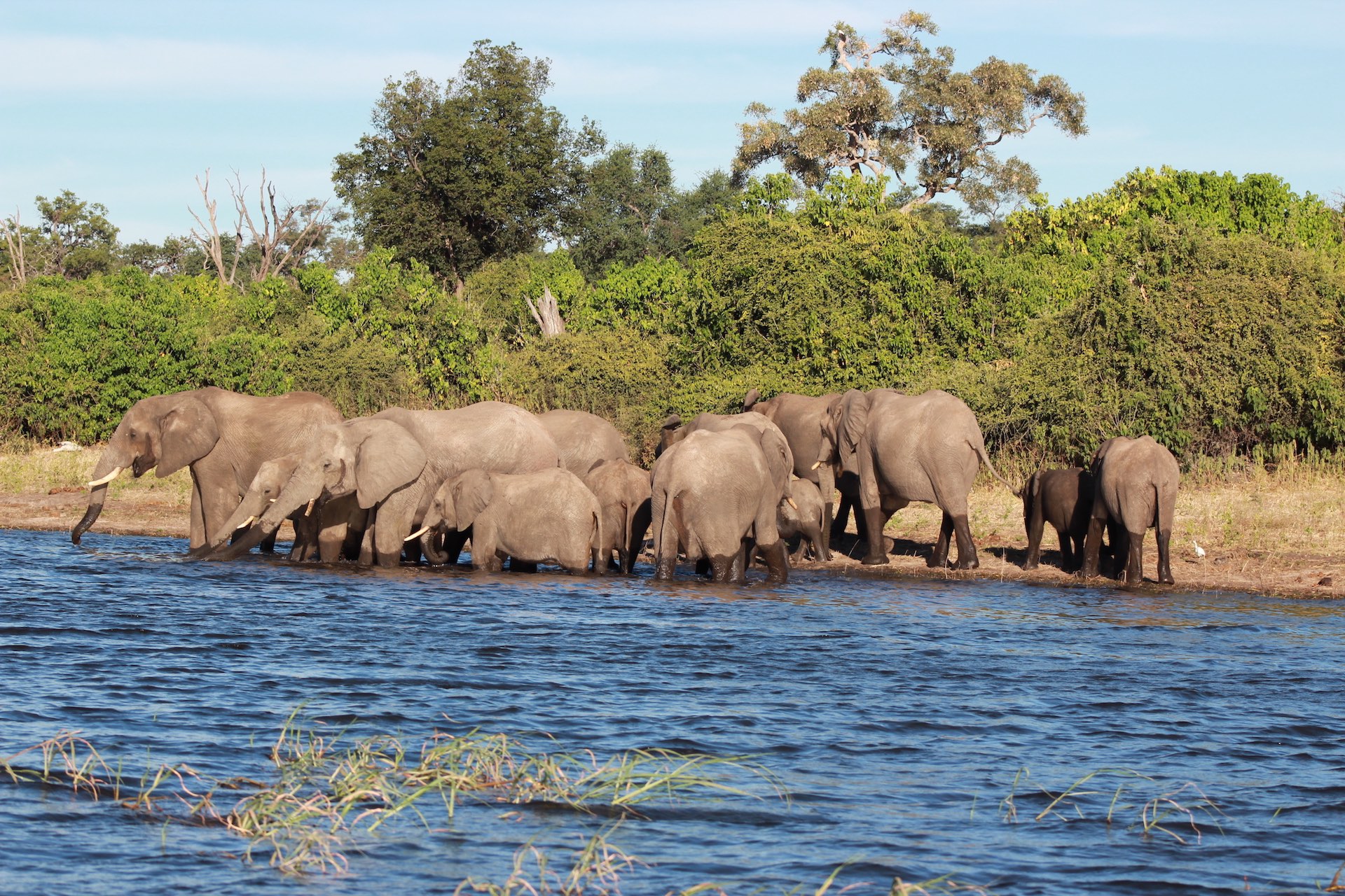 BOTSWANA