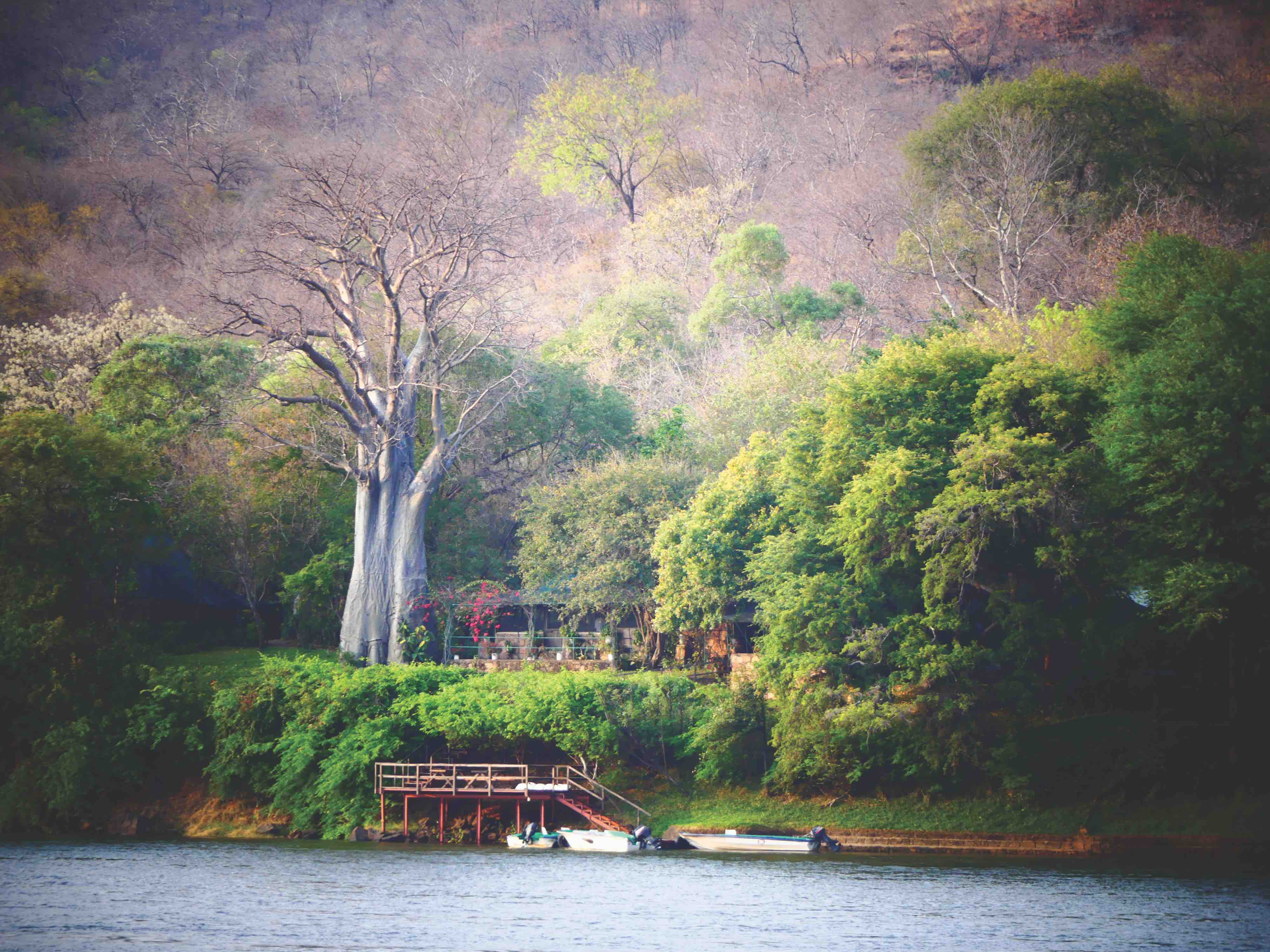 REDCLIFF ZAMBEZI LODGE