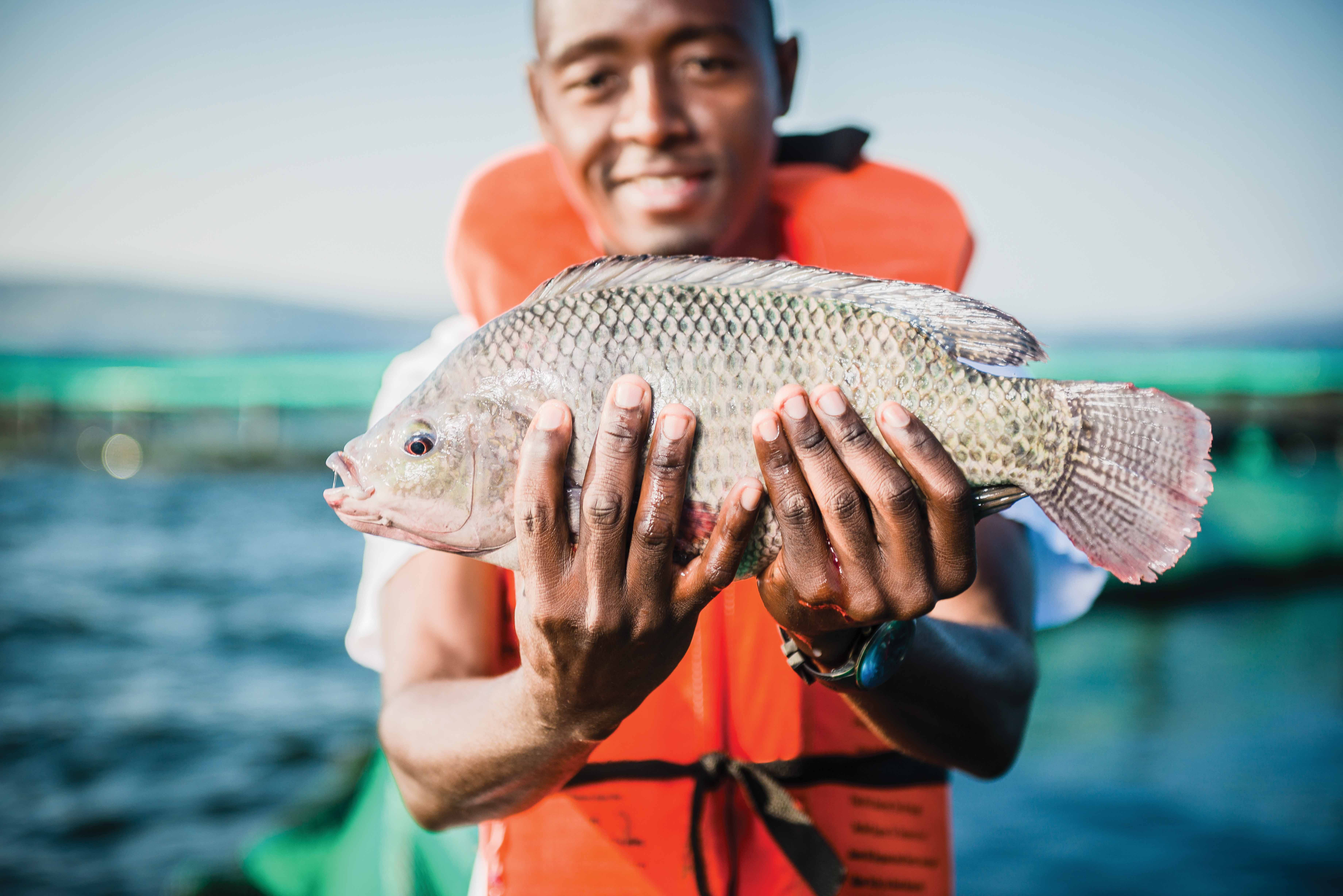 AQUACULTURE IN ZAMBIA thumbnail