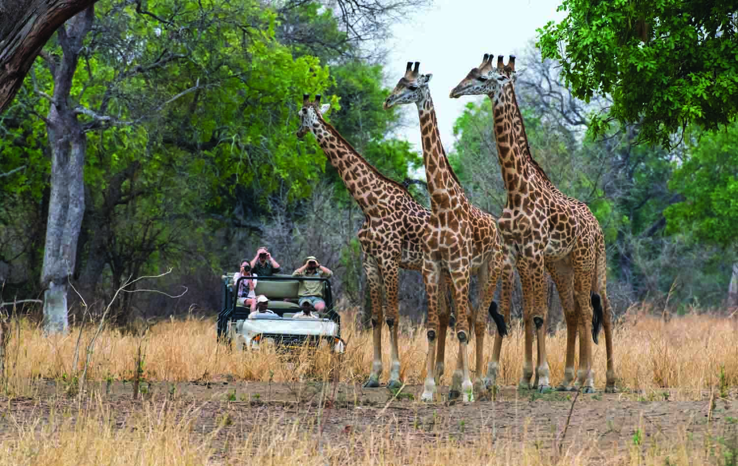 PARKS AND RECREATION Zambia’s most amazing national parks thumbnail