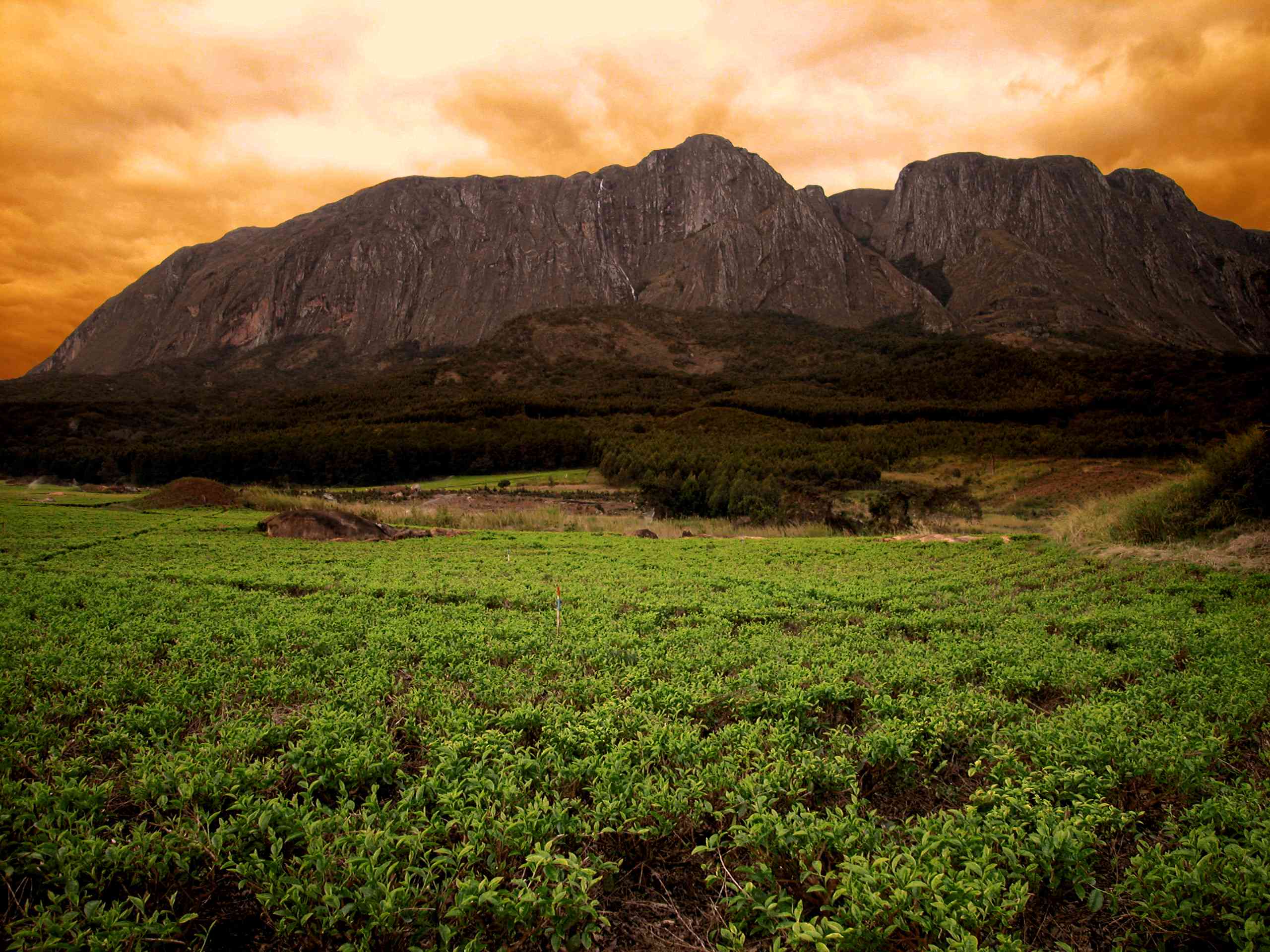 THE MAGICAL SHIRE HIGHLANDS MALAWI’S SOUTHERN WONDERLAND thumbnail