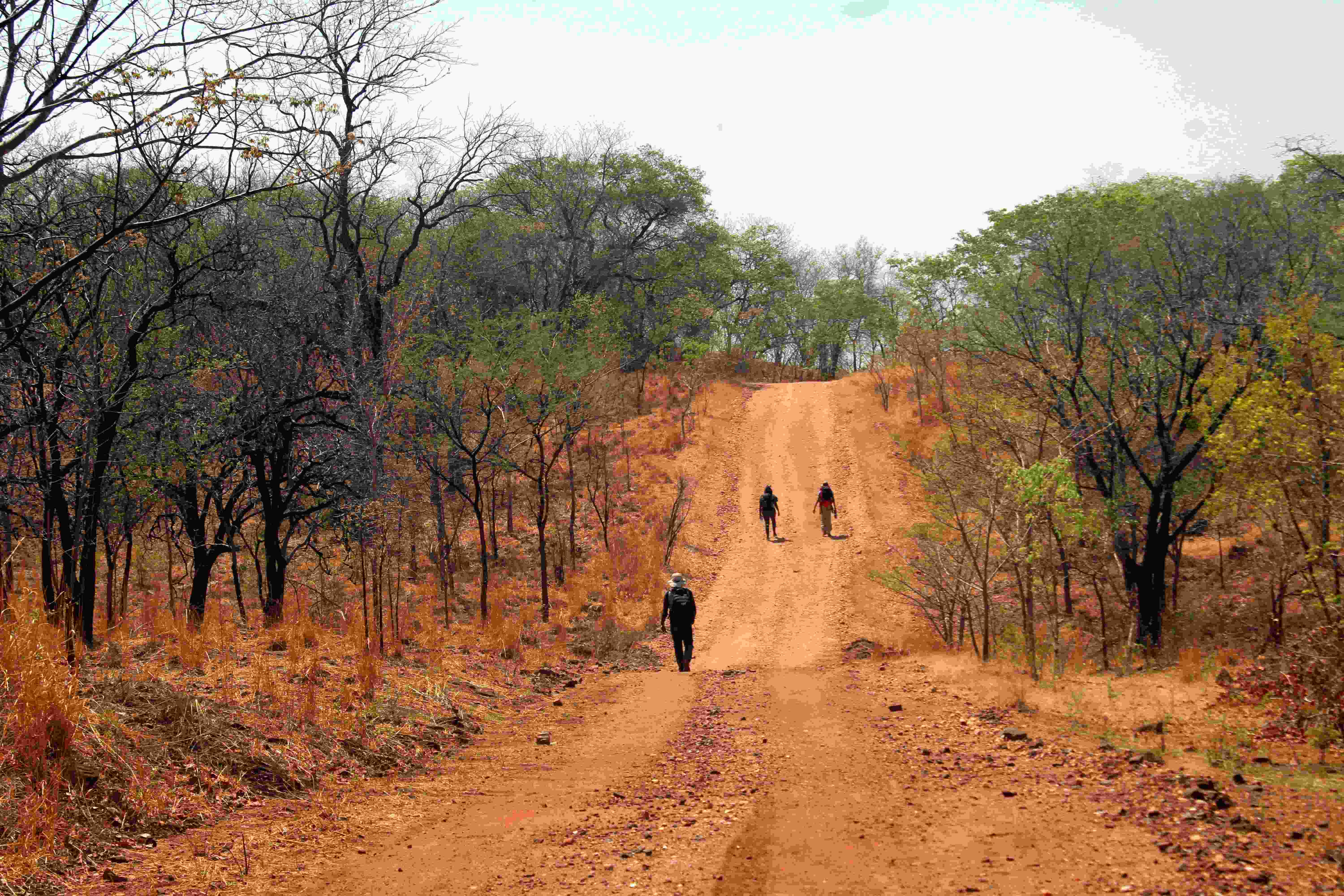 The long walk to Kanyangala  – gateway to Lower Zambezi