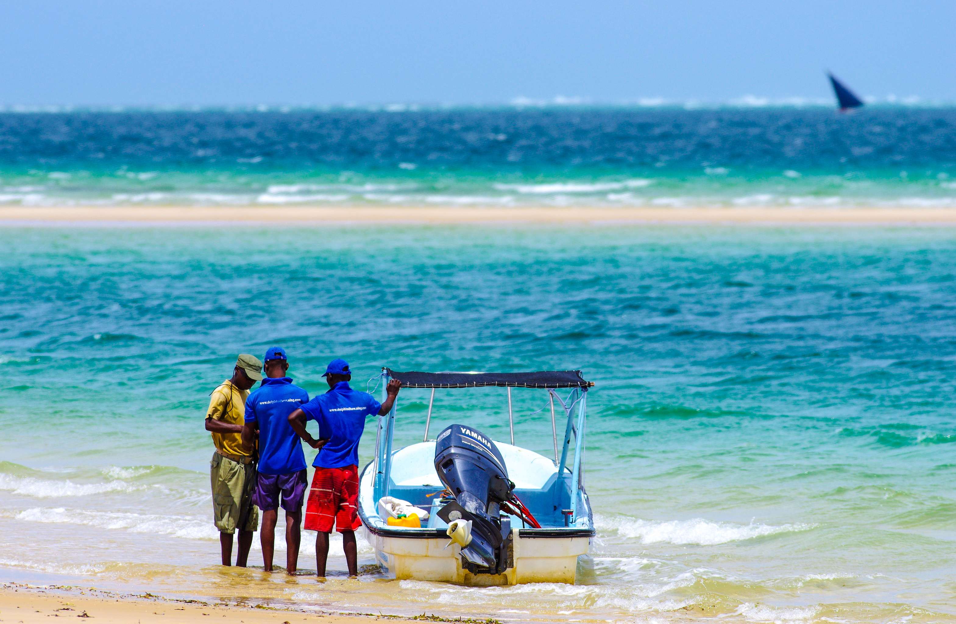 Mozambique Island Paradises, Megafauna and Warm Communities thumbnail