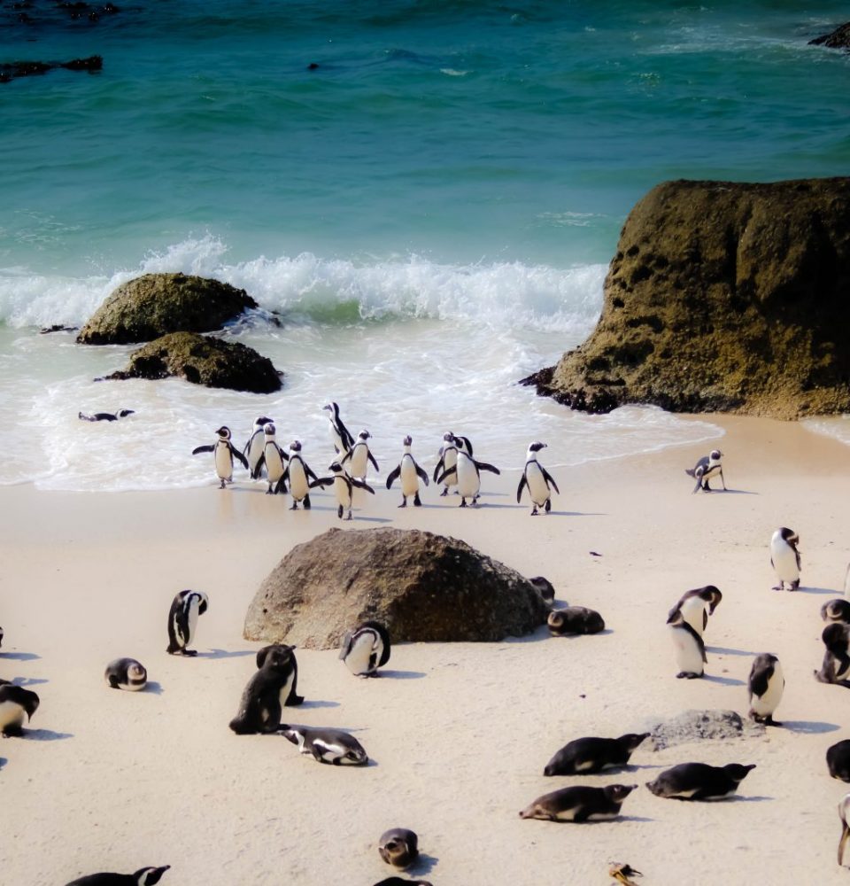 The Ultimate Garden Route Bucket List