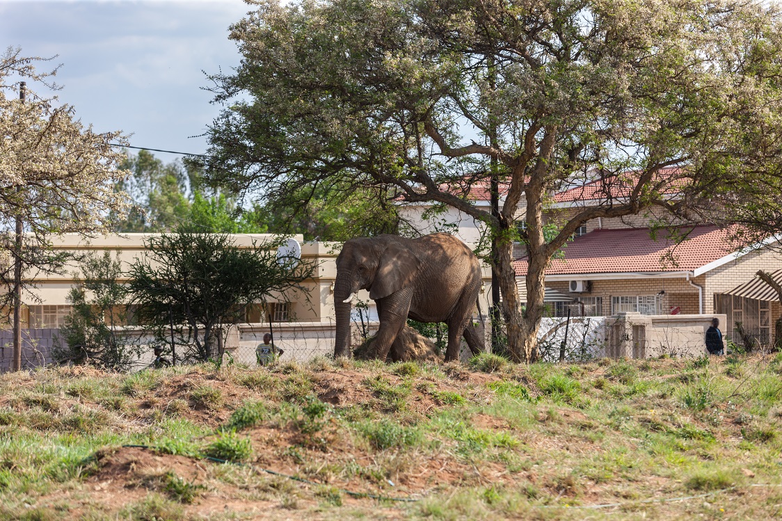 Conservation and Tourism Society (CATS) Tackling Human-Animal Conflict thumbnail