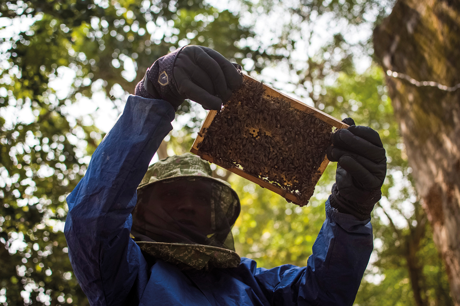 The Wildlife Economy Understanding Natural Capital Assets and Creating Green Jobs